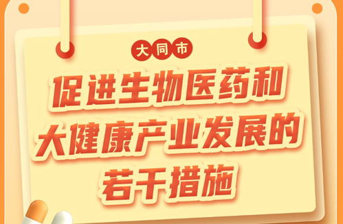 大同市人民政府門(mén)戶(hù)網(wǎng)站 惠民政策與補(bǔ)貼查詢(xún)的官方指南